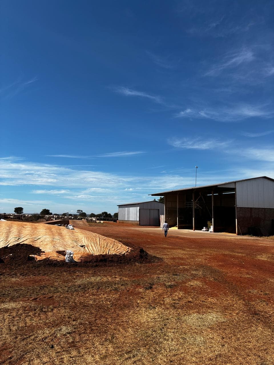 A feed barn beside a covered silage store in the farm yard as a worker walks past.