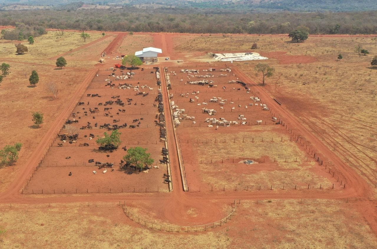 Aerial view of two large feedlot pens filled with cattle beside the feed barn.