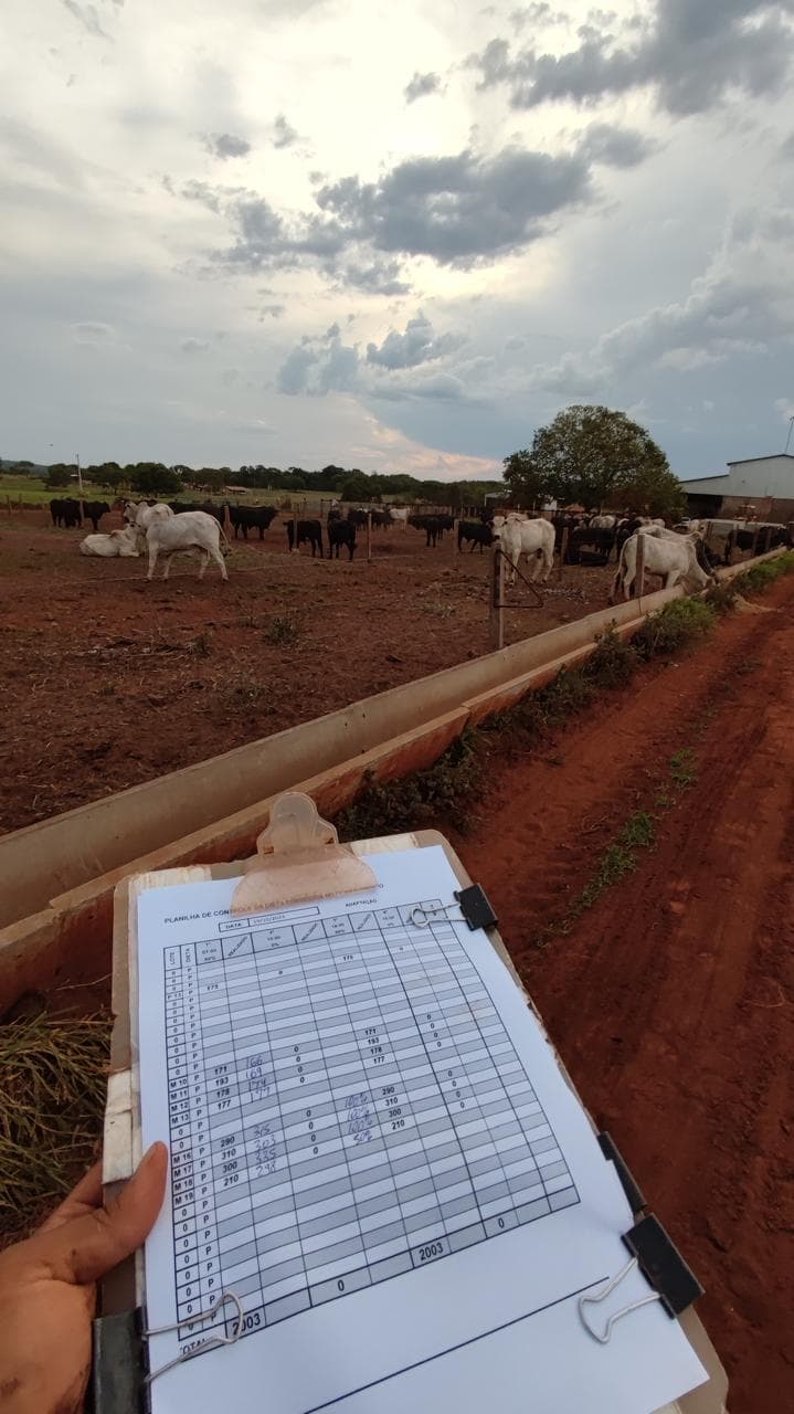 A hand holding a feed-control record sheet at the feedlot, with cattle pens behind.