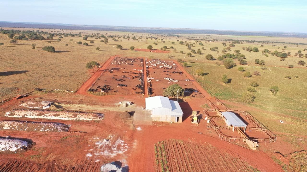 Aerial view of the feedlot with cattle pens, feed barn and adjacent silage storage.