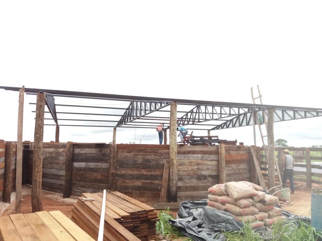 Steel-frame roof under construction over the cattle handling yard and squeeze chute.