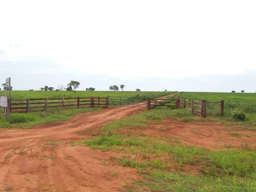 Completed internal access road running through the developed Fazenda Parlamento property.