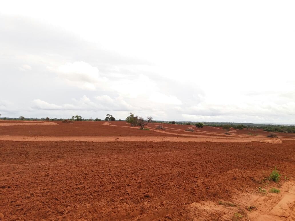 Corrected red soil prepared and ready for pasture establishment.