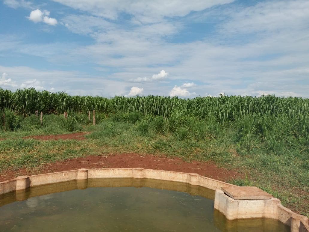 Concrete water reservoir supplying the property's feeding area.