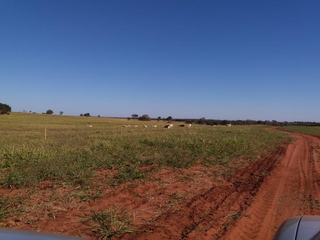 A mesma propriedade transformada em uma fazenda de pecuária estruturada e em operação