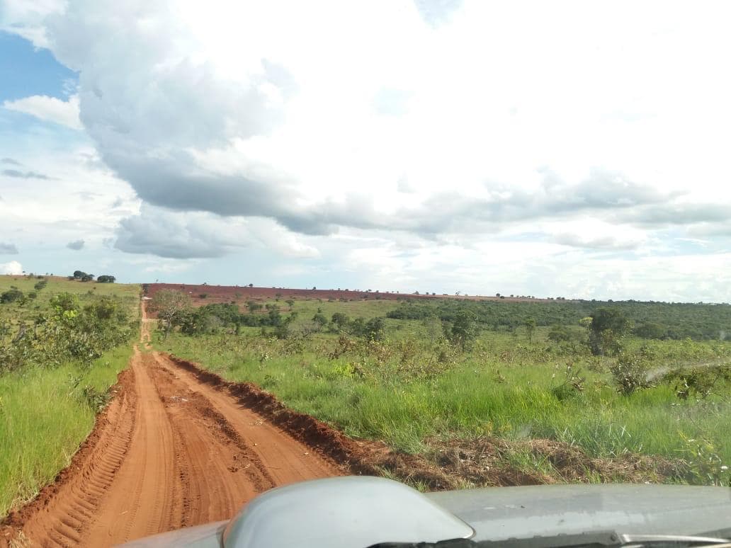 Terreno bruto e não desenvolvido na propriedade antes do início das obras