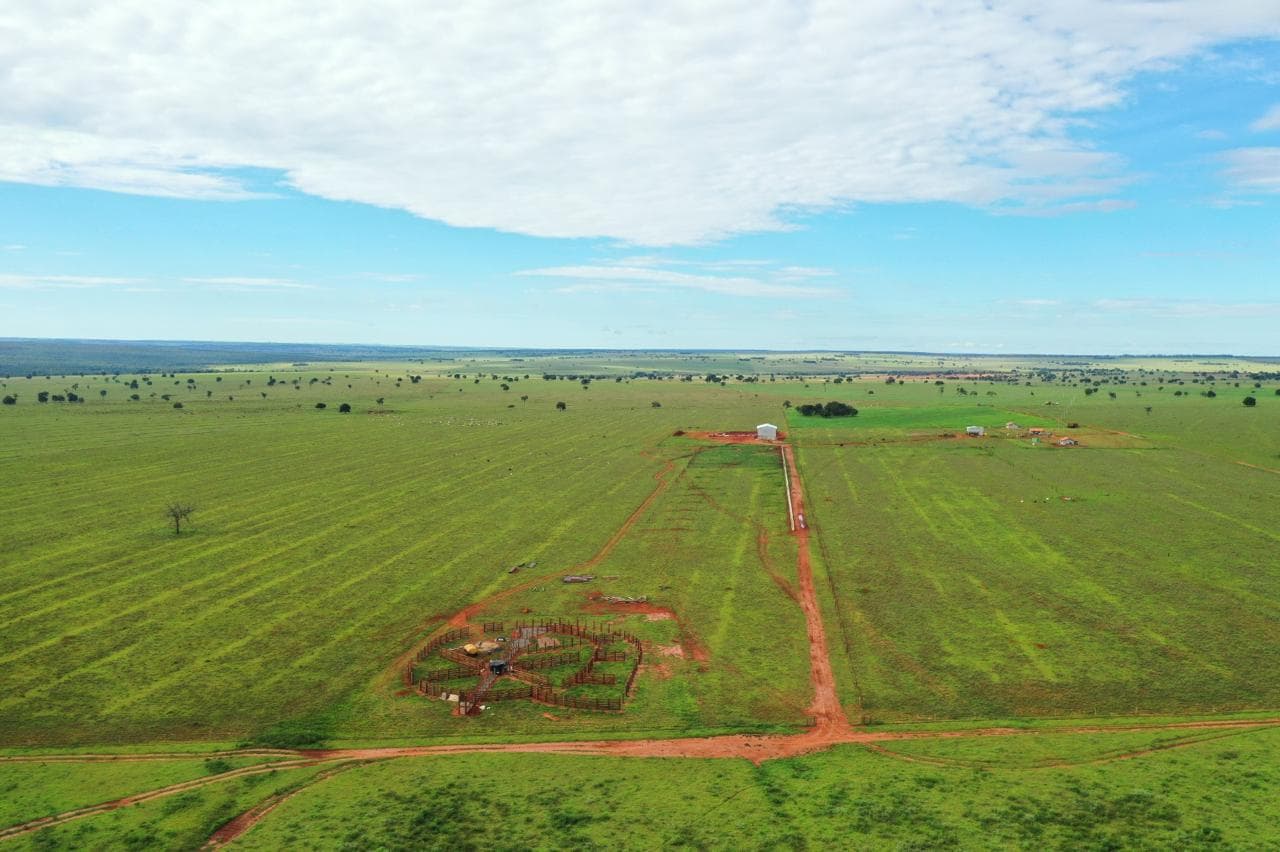 Vista aérea de um curral de manejo de gado em construção na propriedade.