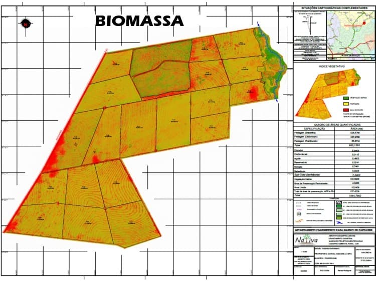Biomass and vegetation index map used to assess pasture density across the property.